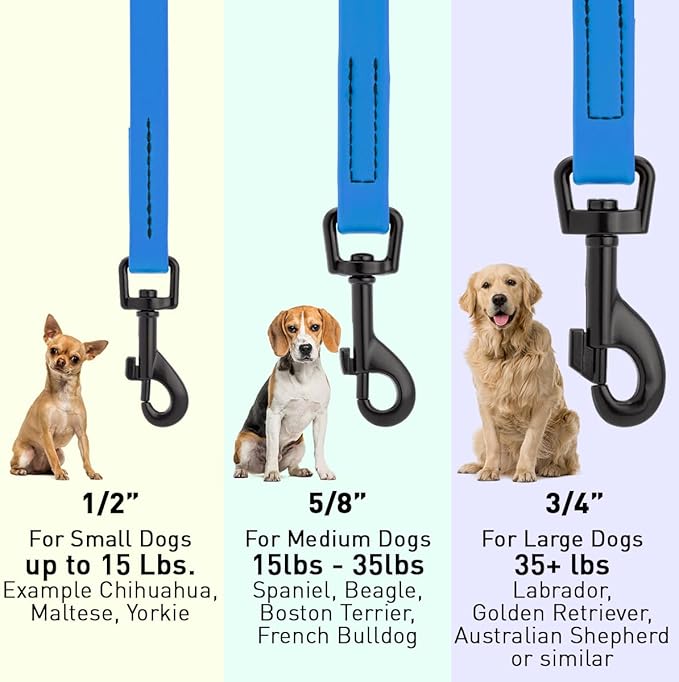 Dogline Biothane Waterproof 6ft Dog Leash Strong Coated Nylon Webbing with Black Hardware Odor-Proof Easy to Clean High Performance for Small or Large Dogs Made in USA 6ft Lead, Cerulean Blue