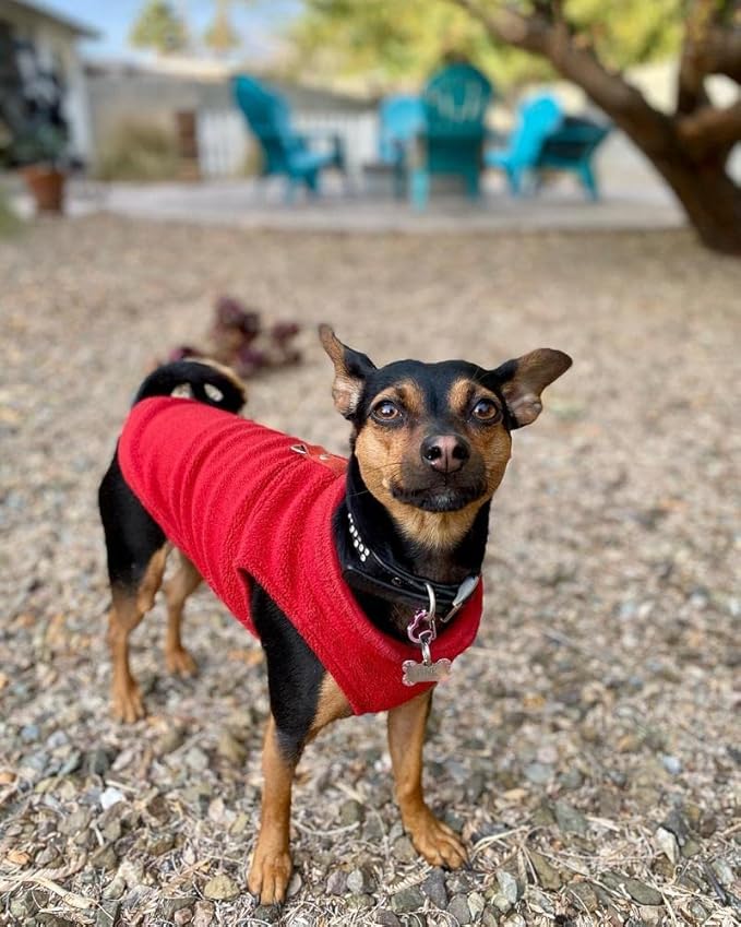 Gooby Fleece Vest Dog Sweater - Red, Small - Warm Pullover Fleece Dog Jacket with O-Ring Leash for Small to Medium Dogs