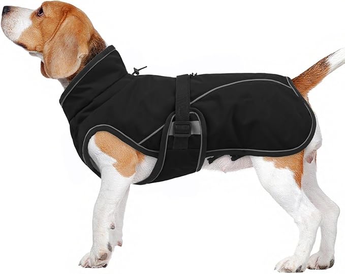 Warm Dog Coat for Winter,Waterproof Jacket with Zipper,Detachable Dog Coat with Adjustable Buckle,Comfortable Jacket for Dogs in Cold and Windy Days.M Black