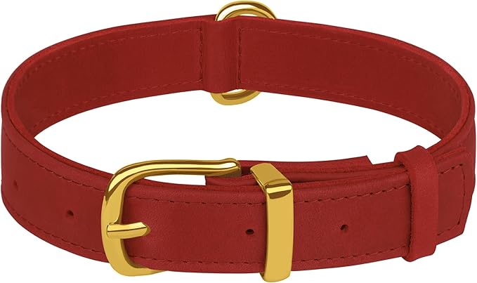Leather Dog Collar - Heavy Duty Adjustable Soft Padded Pet Collars for Small Medium Large Dogs Breed - Black Green Brown Pink Red Blue (Red, M, 12"-15" Neck Fit)