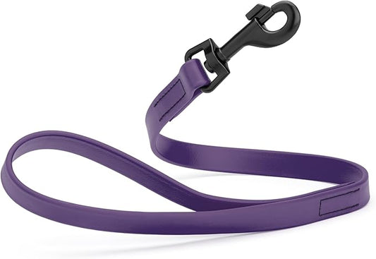 Dogline Biothane Waterproof Dog Leash Strong Coated Nylon Webbing with Black Hardware Odor-Proof Easy to Clean High Performance for Small or Large Dogs Made in USA 2 ft Lead, Violet Purple