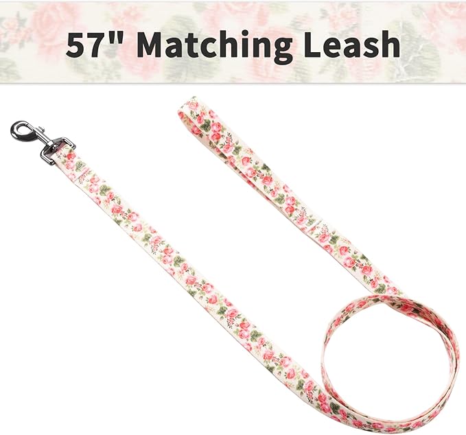 Ihoming Puppy Collar and Leash Set for Daily Outdoor Walking Running Training, Pink Flowers Design for Extra Small Boys Girls Dogs Cats Pets, XS-Up to 10LBS