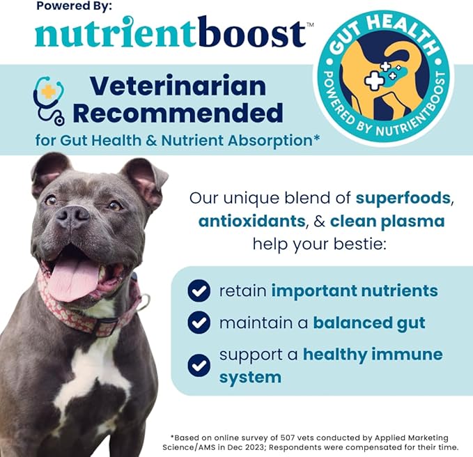 Solid Gold Healthy Dog Treats - Functional Pumpkin Dog Teats w/Flaxseed & Gentle Superfoods for Gut Health & Digestion - Gluten Free Healthy Training Treat for Dogs of All Ages & Sizes - 5.2 oz