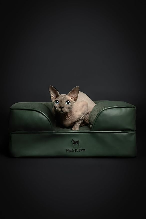 NOAH & PAW Small Dog Bed, 20x15x8 Inch, Cat Bed for Indoor Cats, Orthopedic Eggshell Memory Foam Infused with Cooling Gel, Waterproof Inner Cover Machine Washable (Faux Leather Collection)