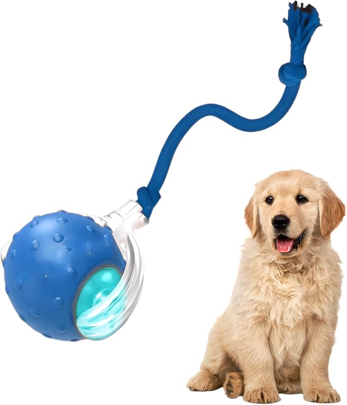 Tiny Fetch Dog Toy - Interactive Dog Toys, 360°Smart Automatic Rolling Electric Dogs Ball Toy with Birdsong, Automatic Obstacle Avoidance, Rechargeable, Boredom Relief for Dogs & Cats (Blue*1 PC)