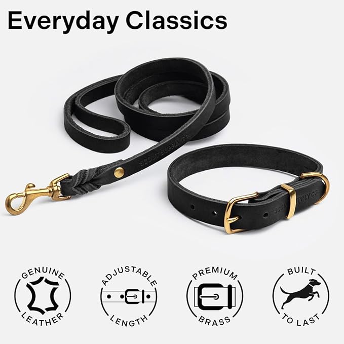 Classic Genuine Leather Dog Collar | Dog Collars for Medium Dogs, Small Dogs, Large Dogs & Extra Large Dog | Wide Dog Collar | Heavy Duty Collar (Black, Medium)