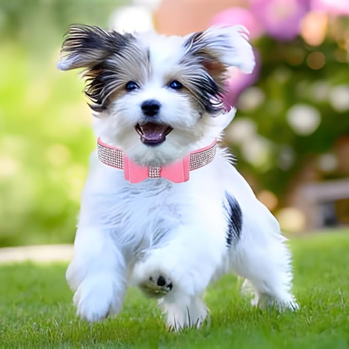 Serijoars Small Dog Collar with Rhinestone Crystal Diamond Colorful Bling Girl Puppy Cat Collars (XS, Pink1)