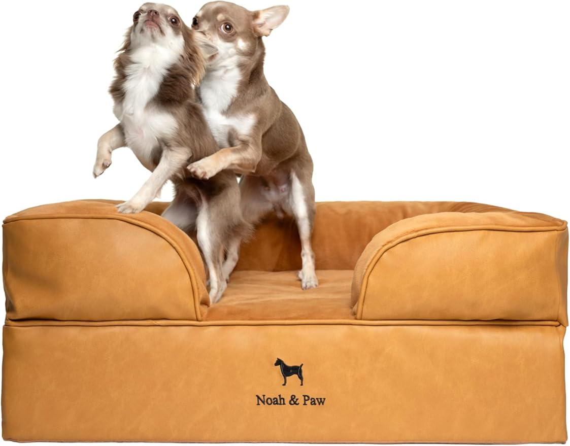 NOAH & PAW Dog Bed, 28x23x11 Inch, Orthopedic Dog Beds for Medium Size Pets, Eggshell Memory Foam Infused with Cooling Gel, Inner Cover, Waterproof, Machine Washable (Faux Leather Sofa Collection)