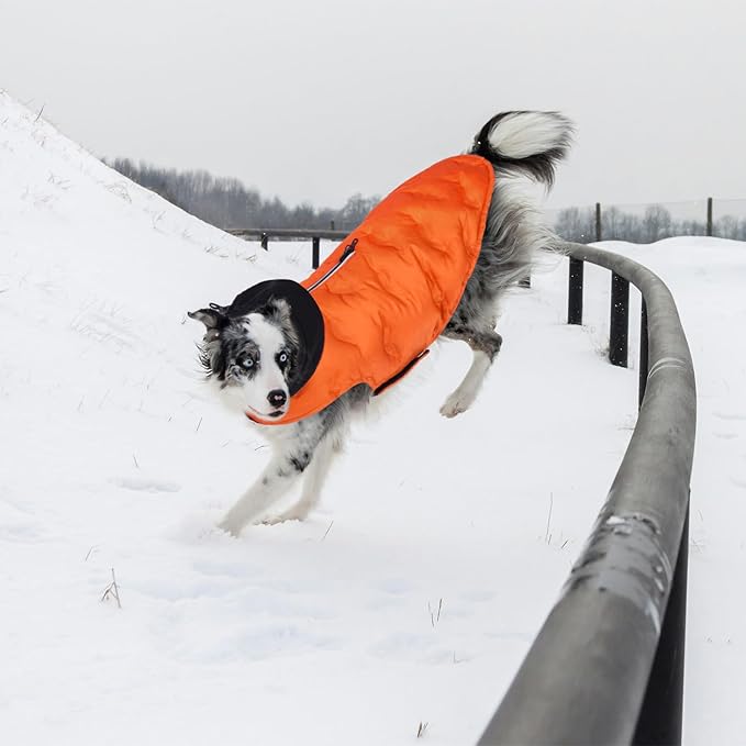 Nanaki Easy On Adjustable Pet Winter Coat Vest-Cold Weather XL Dog Coats with Hood, Warm Reflective Dog Puffer Vest Snowsuit for Pitbull, Soft Lightweight Puffer Coat for Outdoor Activities, Orange