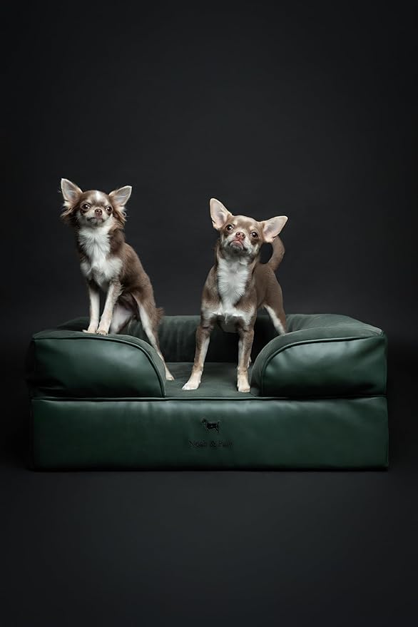 NOAH & PAW Dog Bed, 28x23x11 Inch, Orthopedic Dog Beds for Medium Size Pets, Eggshell Memory Foam Infused with Cooling Gel, Inner Cover, Waterproof, Machine Washable (Faux Leather Sofa Collection)