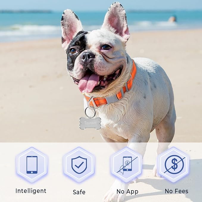 Dog Tags Personalized for Pets,Dog Name Tags QR Code,No Subscription Fees,Modifiable Pet Online Profile,Stainless Steel,No App Required,for Dogs and Cats Small,Medium,Large(Dog Bone,Small)