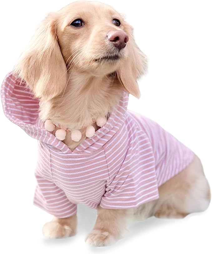 DJANGO Dog Hoodie – Warm, Lightweight, Soft & Stretchy Dog Sweater with Hood, Harness Hole & Elastic Waistband – Cozy Sweatshirt for Small Dogs up to 25 lbs, Dachshunds & Puppies – Blush Pink, Small