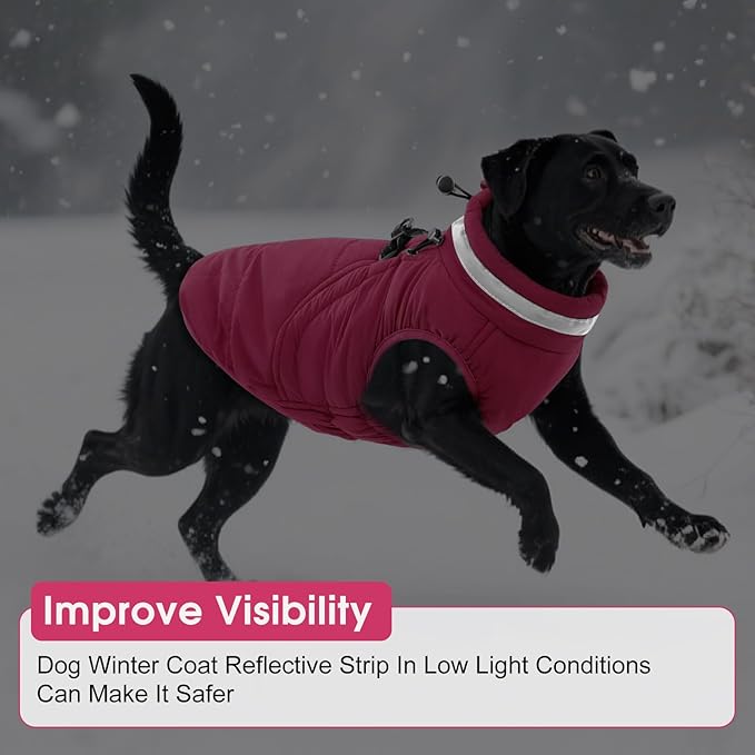 SAWMONG Dog Coat, Warm Dog Winter Coat, Waterproof Fleece Jacket, Cold Weather Dogs Jacket (S,Rosered)