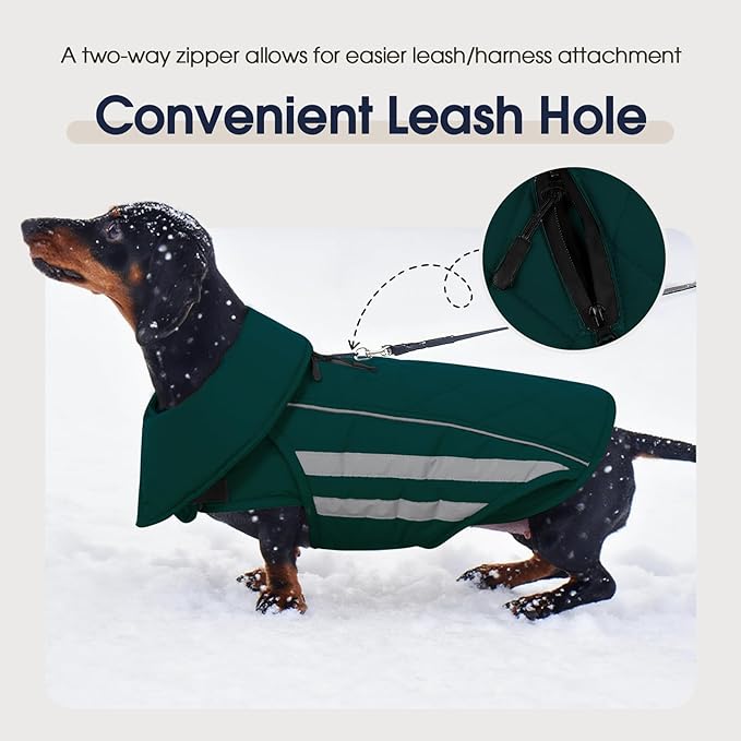 IECOii Dog Winter Coat - Waterproof & Windproof & Reflective Coats, Adjustable & Fleece Lined Snow Jacket for Pitbull Outdoor Adventures, Green, Sizes XL