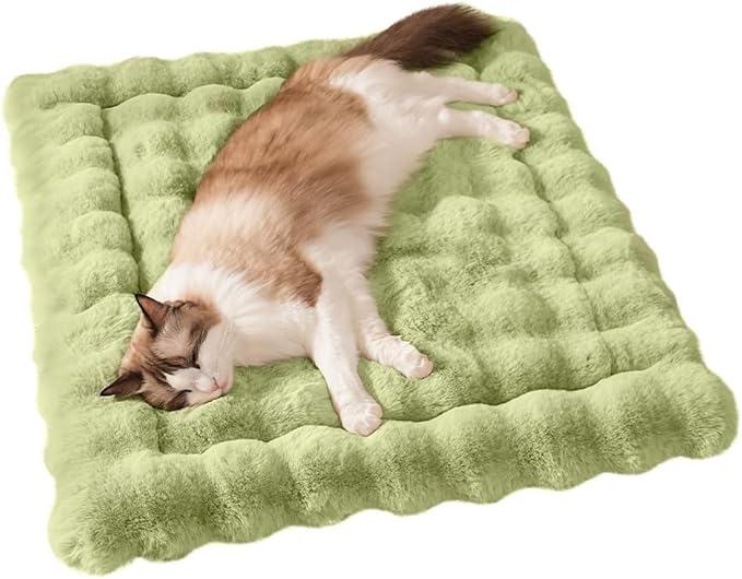 Cat Bed Plush Puppy Pad Mat with Non-Slip Bottom Faux Fur Kitten Beds for Carriers/Floor Dog Friendly 23 x 15 Inch Medium Green