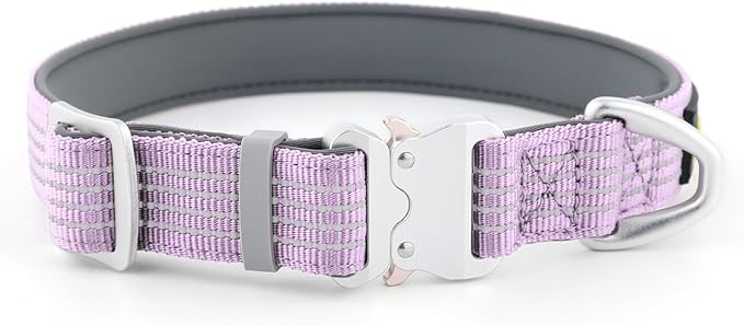 Plutus Pet Reflective Dog Collar with Aviation Aluminum Buckle, Neoprene Padded for Comfort, Lightweight, Heavy Duty Nylon Collar for Puppy Small Medium Large Dogs (Lilac Purple, XL)