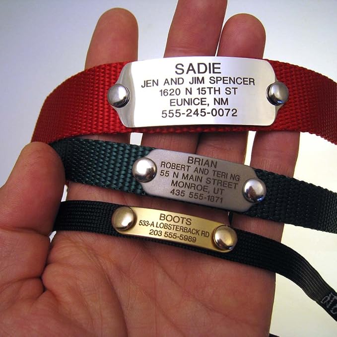 LuckyPet Rivet-On Pet ID Tag - Personalized, Silent and Customized - Suitable for Cats and Dogs - Heavy-Duty Pet Identification - Engraved Tags - Small, Matte Finish Stainless Steel