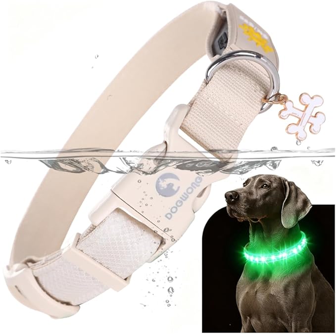 DOGWONG LED Dog Collar - Heavy Duty Light up Collars - Rechargeable Waterproof - Lighted Dog Collar for Night Walking, Hiking, Camping(White,L)