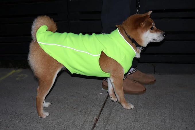 JACKO & CO - Fleece Vest Dog Sweater with Leash Ring - Soft, Warm & Lightweight Pullover Coat for Small & Medium Dogs, Puppies & Cats - Cozy Fall/Winter/Spring Pet Jacket (Lime Green, Small 4-6lbs)