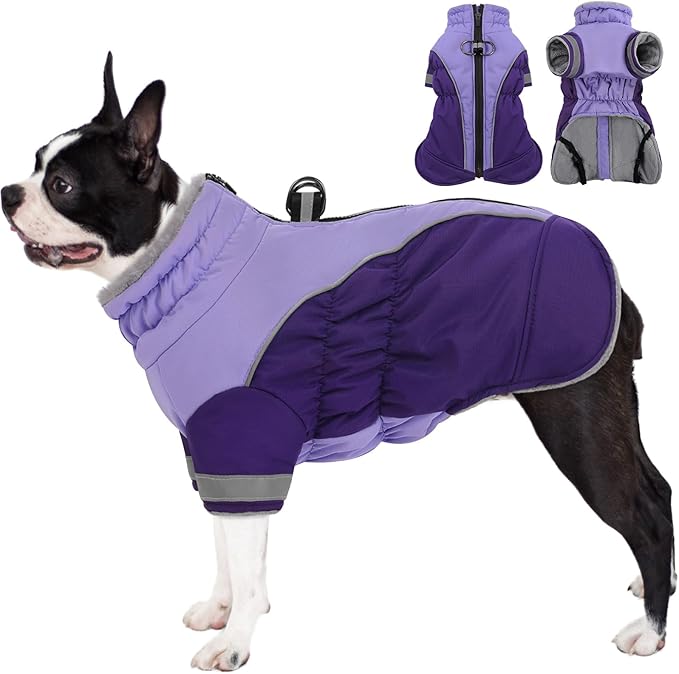 AOFITEE Dog Coat - Two Legged Medium Dog Winter Jacket - Zip Up Dogs Cold Weather Coat with Harness, Warm Pet Puffer Jackets Reflective Pet Snow Coats for Pug, Jack Russell, Boston Terrier, Purple M
