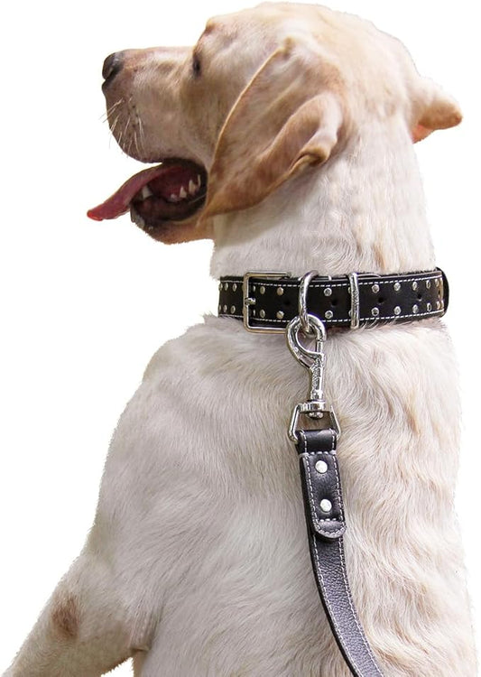 Studded Leather Dog Collar – Durable Adjustable Collar, Black Medium