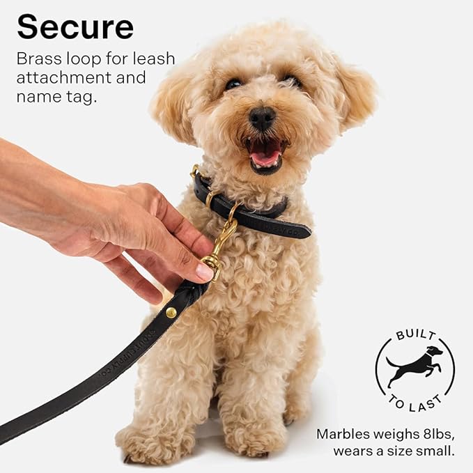Classic Genuine Leather Dog Collar | Dog Collars for Medium Dogs, Small Dogs, Large Dogs & Extra Large Dog | Wide Dog Collar | Heavy Duty Collar (Black, Medium)