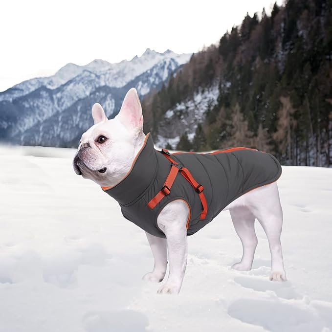 Geyecete Winter Warm Coat Waterproof Dog Winter Jacket with Harness Traction Belt,Windproof Pet Outdoor Jacket-Gray-XL