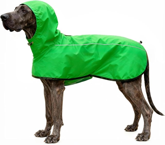 Mosucoirl Dog Raincoat Jacket Reflective Adjustable Hooded Pet Poncho Rain Coats with Leash Hole Waterproof Clothes for Small Medium Large Dogs (Green, S)