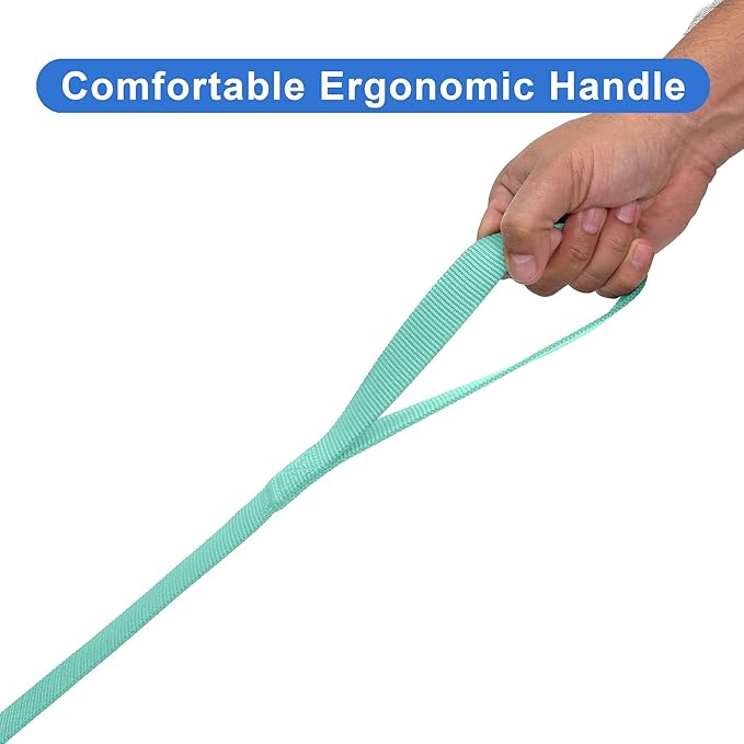 Pawtitas 6 FT Solid Color Comfortable Handle Dog Training Leash - Medium/Large, 6 ft Teal