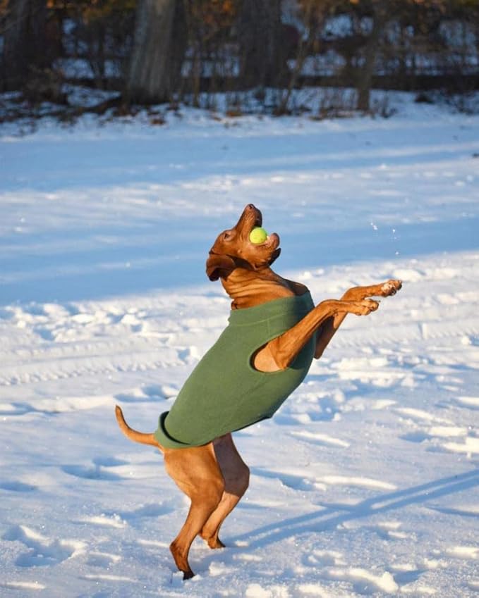 Gooby Stretch Fleece Vest Dog Sweater - Brown, 5X-Large - Warm Pullover Super Stretchy Fleece Dog Jacket for Small to Large Dogs
