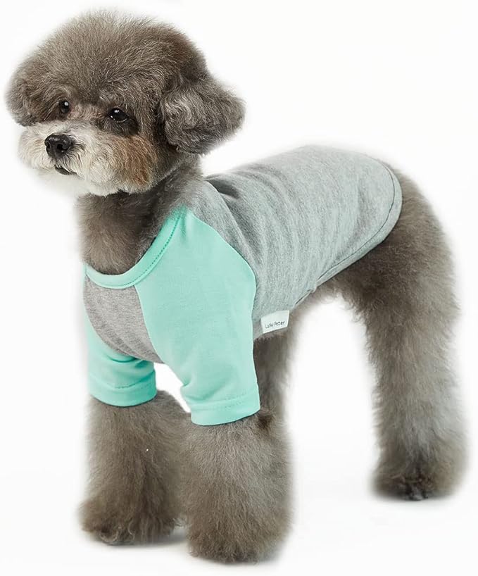 Dog Shirt for Small and Large Dogs Raglan Cotton T-Shirts Soft Breathable Dog Shirts pet Clothes Gray Series (X-Small, Gray/Mint)