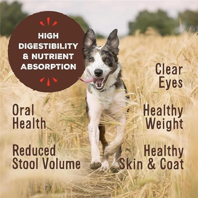 Primal Freeze Dried Dog Food, Pronto Mini Nuggets, Pork; Scoop & Serve, Complete & Balanced Meal; Also Use As Topper or Treat; Premium, Healthy, Grain Free, High Protein Raw Dog Food (25 oz, 2-Pack)