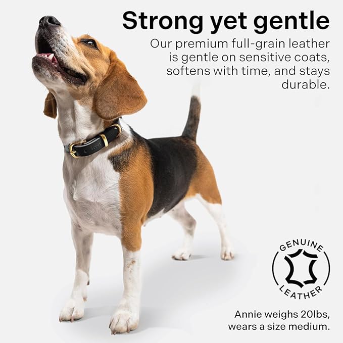 Classic Genuine Leather Dog Collar | Dog Collars for Medium Dogs, Small Dogs, Large Dogs & Extra Large Dog | Wide Dog Collar | Heavy Duty Collar (Black, Large)
