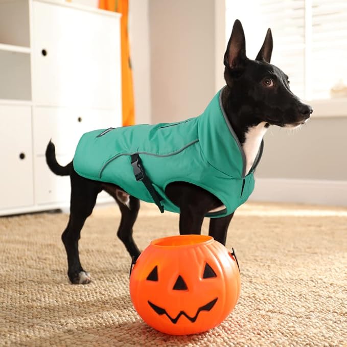 EMUST Dog Coat Winter, Waterproof Pet Snow Jacket for Winter, Adjustable Small/Medium/Large Dog Coat, Turquoise, L