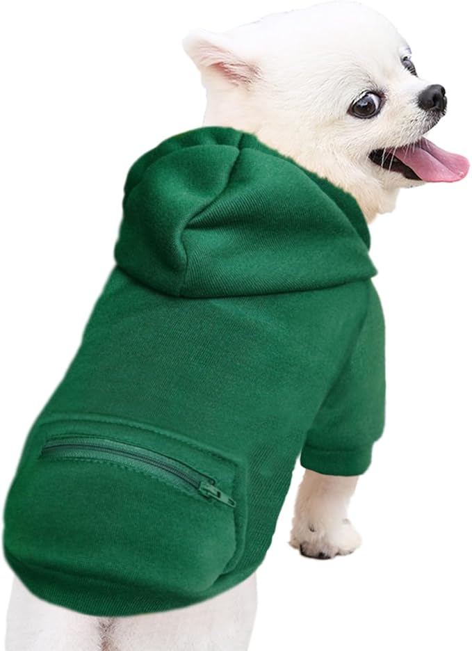 Jecikelon Pet Dog Cold Weather Coat with Pocket Winter Dog Hoodie Warm Puppy Clothes for Small Dogs Chihuahua Clothing (Green, Small)