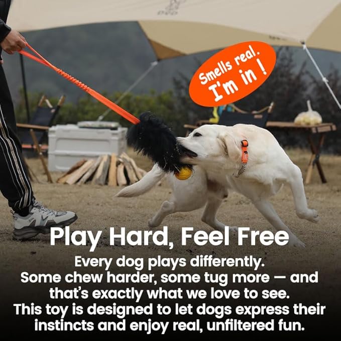 HOWGO Dog Rope Toy,Dog Bungee Chaser Toy 100% Sheepskin,Sheep Smell Tug Toy for All Breeds (Purple, with Rubber Ball)