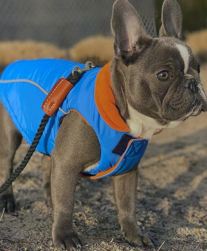 Gooby Sports Vest Dog Jacket - Blue, Small - Reflective Dog Vest with D Ring Leash Warm Fleece Lined Hook and Loop Closure for Small to Medium Dogs