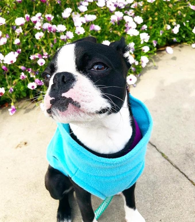 Gooby - Stretch Fleece Vest, Pullover Fleece Vest Jacket Sweater for Dogs, Mint, 2X-Large