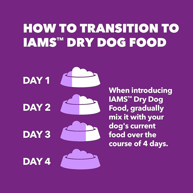 IAMS Advanced Health Skin & Coat Adult Dry Dog Food Chicken and Salmon Recipe, 6 lb. Bag