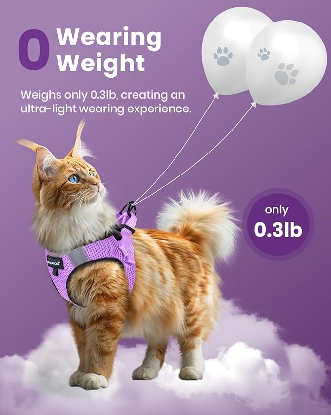 FAYOGOO Cat Harness, Cat Leash and Harness Set for Walking Escape Proof, Harness for Small Cats/Small Dogs, Large Kitten/Puppy Harness and Leash, Harness for Cats,XXL(Modern Violet, Medium)