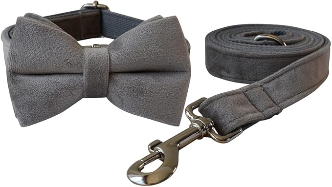 Dog Collar Custom Personalized Engraved Name and Phone Number for Puppy Small Medium Large Pets (M, Grey)