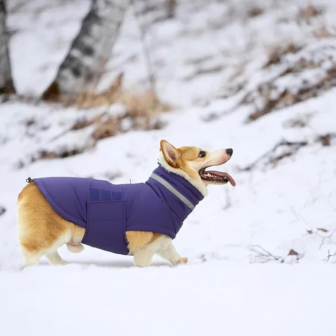 Dog Coat, Waterproof Winter Jacket, Warm Windproof Vest, Reflective Adjustable Turtleneck Coats for Medium and Large Dogs with Hook & Loop - Purple - L
