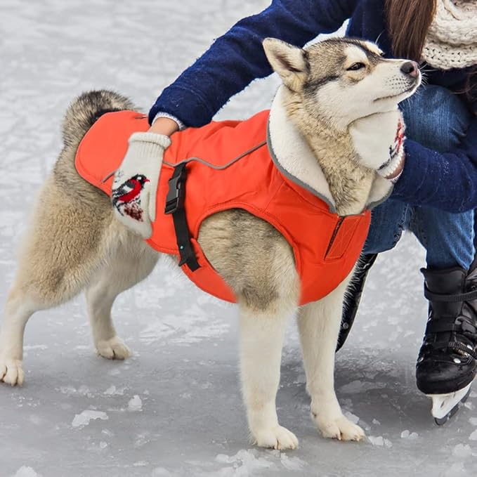 EMUST Dog Winter Coat, Thick Windproof Pet Jacket Winter, Pet Dog Vest for Small/Medium/Large, Orange, XXL