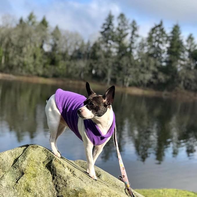 Gooby Fleece Vest Dog Sweater - Lavender, Large - Warm Pullover Fleece Dog Jacket with O-Ring Leash for Small to Medium Dogs
