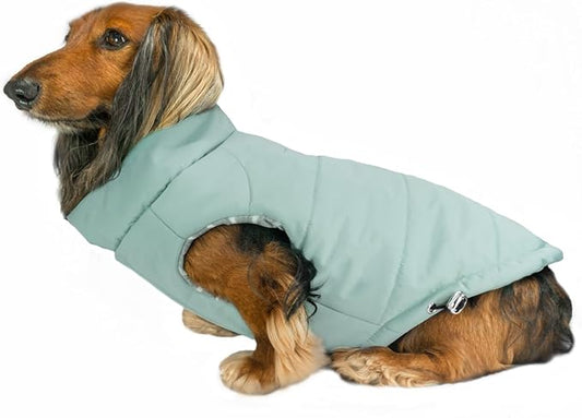 DJANGO Puffer Dog Coat – Warm Winter Dog Jacket & Water-Repellent Insulated Puffer Vest with Striped Lining, Harness Hole, Adjustable Fit for Small & Medium Dogs, Dachshunds – Sea Foam Green, X-Small