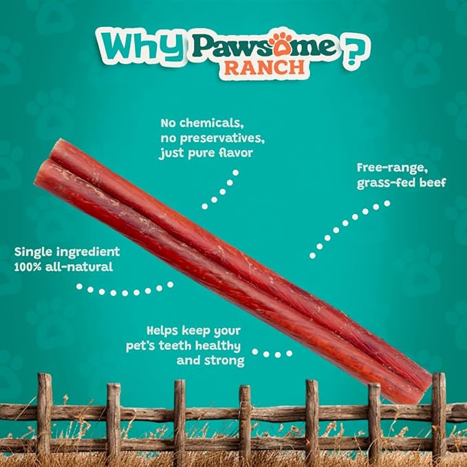 Bully Sticks 12" — 5 Count | Natural Single-Ingredient, Long-Lasting Dog Chews for Medium & Large Dogs; Dental Support, Power-Chewer Treats