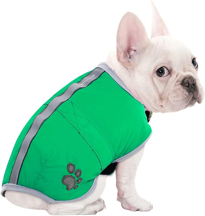 Queenmore Dog Winter Coat, Cold Weather Fleece Jacket for Dogs, Waterproof Reflective Reversible, for Small, Medium and Large Dogs (Green, XS)