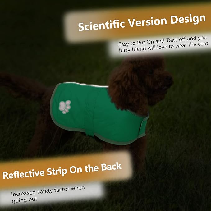 Queenmore Dog Winter Coat, Cold Weather Fleece Jacket for Dogs, Waterproof Reflective Reversible, for Small, Medium and Large Dogs (Green, S)
