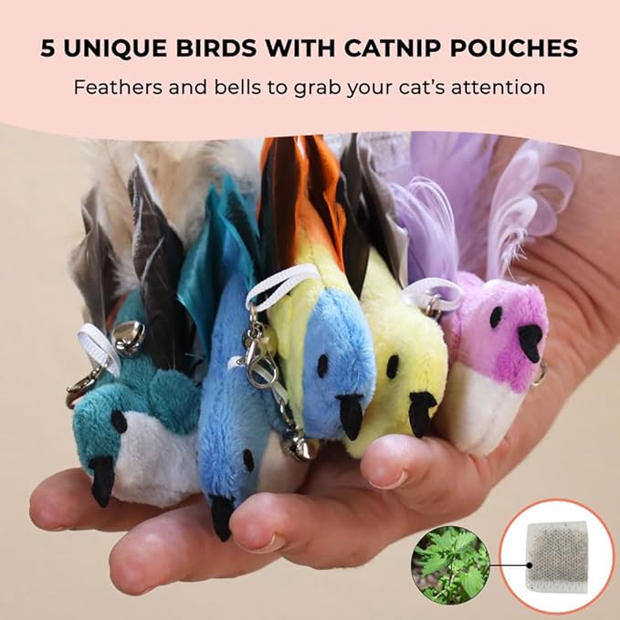 Whiskertons Interactive Bird Simulation Cat Toy Set, Interactive Cat Toys for Indoor Cats, Cat Feather Toy, Self-Holding Suction Cup, 5 Catnip Birds, Feathers, Bells (Catnip Bird Toy Set with 5 Birds)