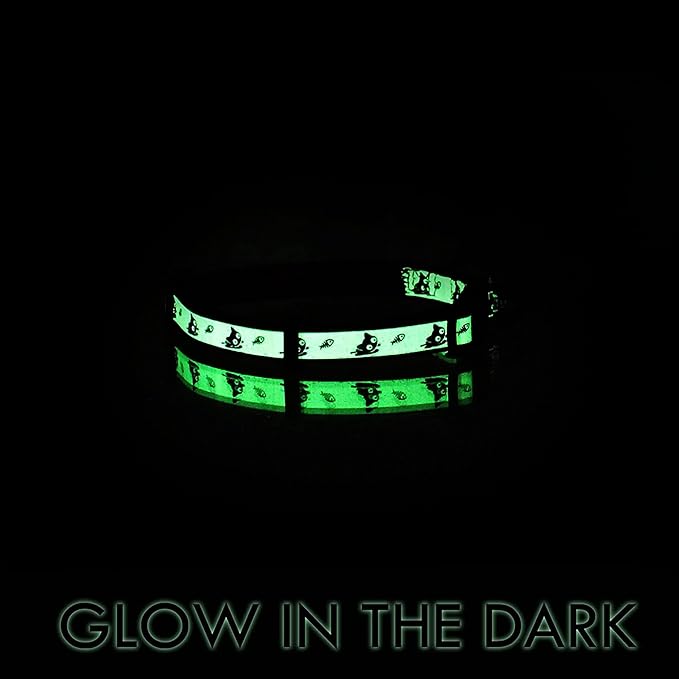 Pawtitas Pet Glow In The Dark Cat Collar with Safety Buckle and Bell Purple Lucky